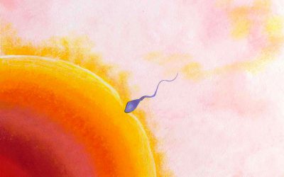 Spontanschwangerschaften nach IVF